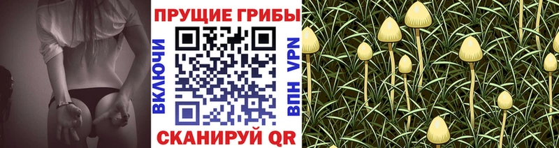 Галлюциногенные грибы Magic Shrooms  mega рабочий сайт  Темрюк  как найти закладки 