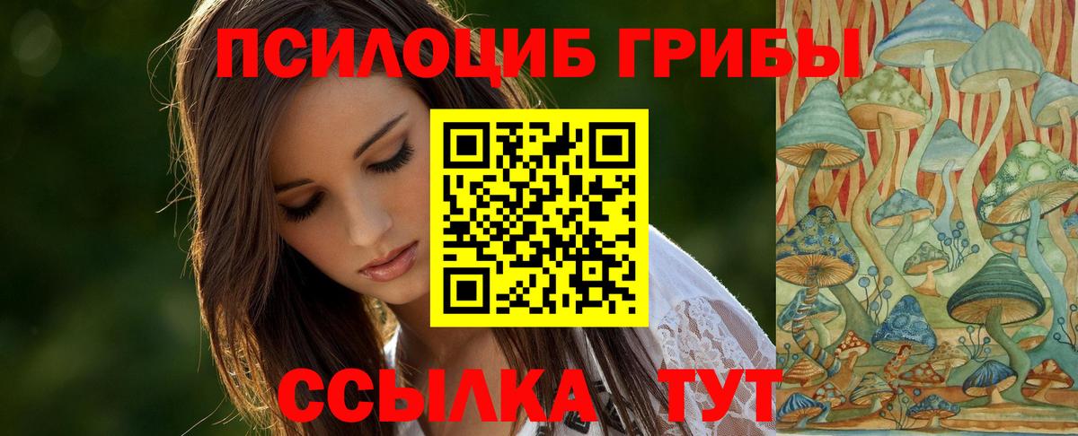 Галлюциногенные грибы мицелий  купить наркоту  Темрюк 